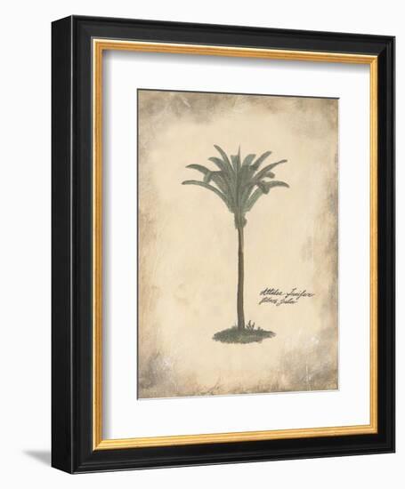 Fibres Palm-Annabel Hewitt-Framed Art Print