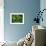 Fichte, Picea Spec., Detail, Triebe, , Kieferngewv¤Chse, Nadelbaum-Thonig-Framed Photographic Print displayed on a wall