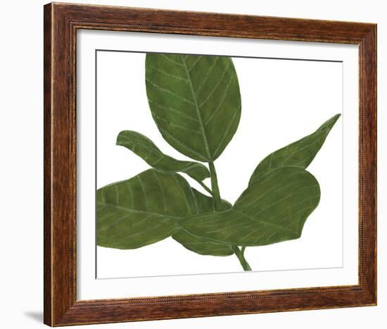 Ficus Dance - Glide-Lottie Fontaine-Framed Giclee Print