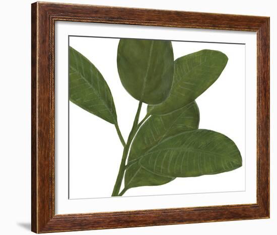 Ficus Dance - Sway-Lottie Fontaine-Framed Giclee Print