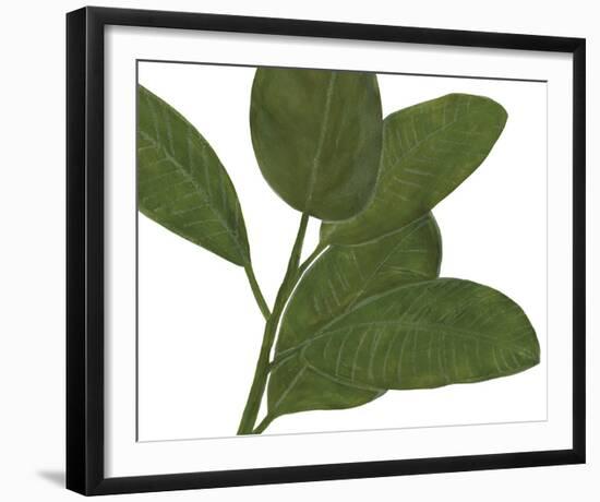 Ficus Dance - Sway-Lottie Fontaine-Framed Giclee Print