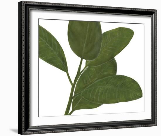 Ficus Dance - Sway-Lottie Fontaine-Framed Giclee Print