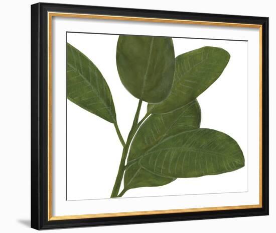 Ficus Dance - Sway-Lottie Fontaine-Framed Giclee Print