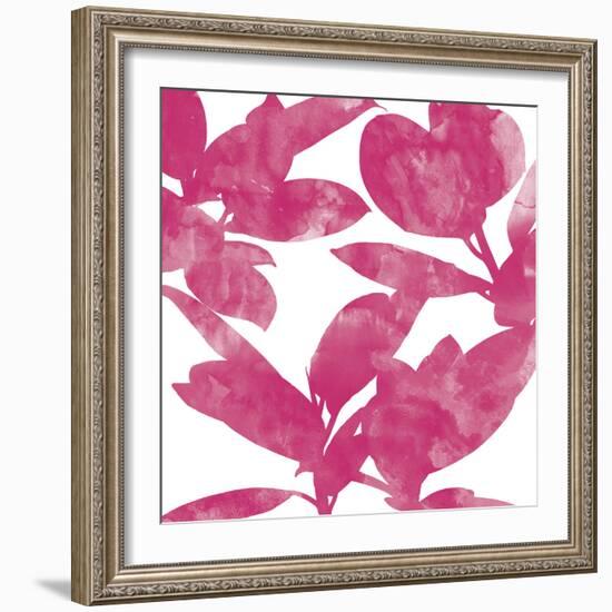 Ficus Elastica Decora Pink-Tania Bello-Framed Giclee Print