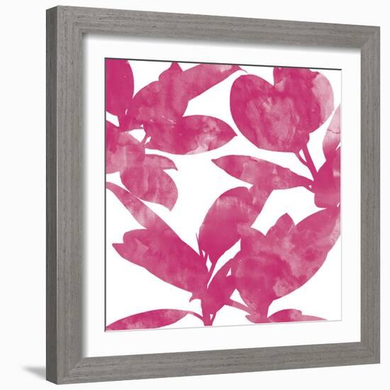 Ficus Elastica Decora Pink-Tania Bello-Framed Giclee Print