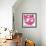 Ficus Elastica Decora Pink-Tania Bello-Framed Giclee Print displayed on a wall