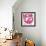 Ficus Elastica Decora Pink-Tania Bello-Framed Giclee Print displayed on a wall