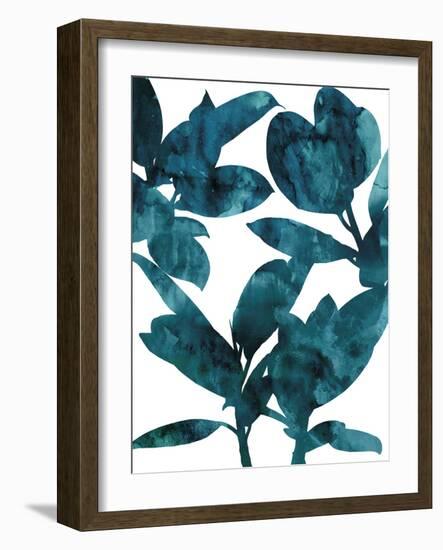 Ficus Elastica-Tania Bello-Framed Giclee Print