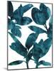 Ficus Elastica-Tania Bello-Mounted Giclee Print