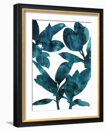 Ficus Elastica-Tania Bello-Framed Giclee Print