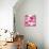 Ficus Lutea Decora Pink-Tania Bello-Giclee Print displayed on a wall