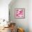 Ficus Lutea Decora Pink-Tania Bello-Framed Giclee Print displayed on a wall