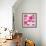Ficus Lutea Decora Pink-Tania Bello-Framed Giclee Print displayed on a wall