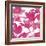 Ficus Lutea Decora Pink-Tania Bello-Framed Giclee Print