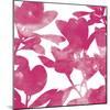 Ficus Lutea Decora Pink-Tania Bello-Mounted Giclee Print