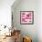 Ficus Lutea Decora Pink-Tania Bello-Framed Giclee Print displayed on a wall