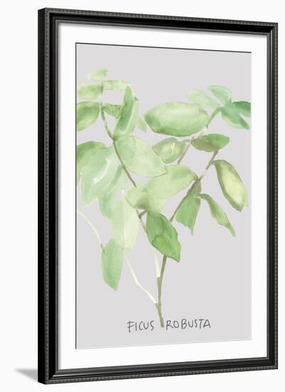 Ficus Robusta-Katrien Soeffers-Framed Giclee Print