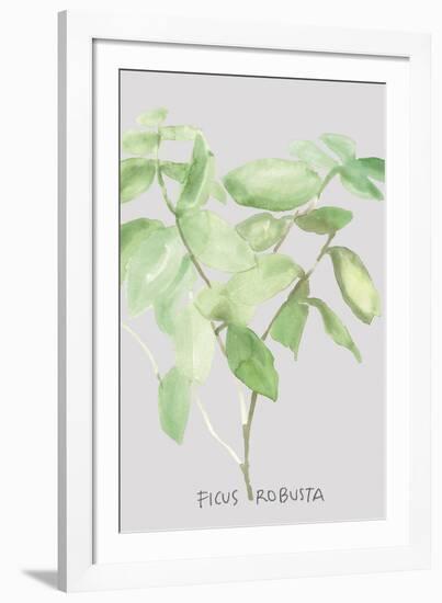 Ficus Robusta-Katrien Soeffers-Framed Giclee Print