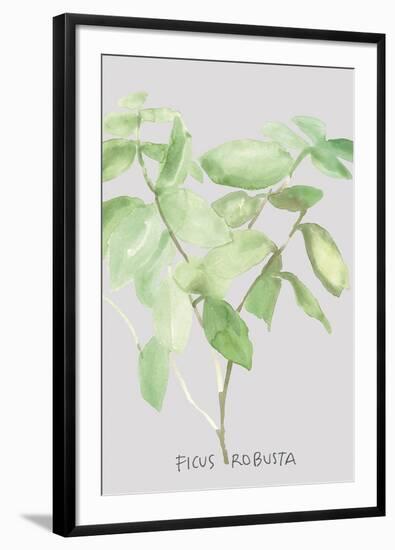 Ficus Robusta-Katrien Soeffers-Framed Giclee Print