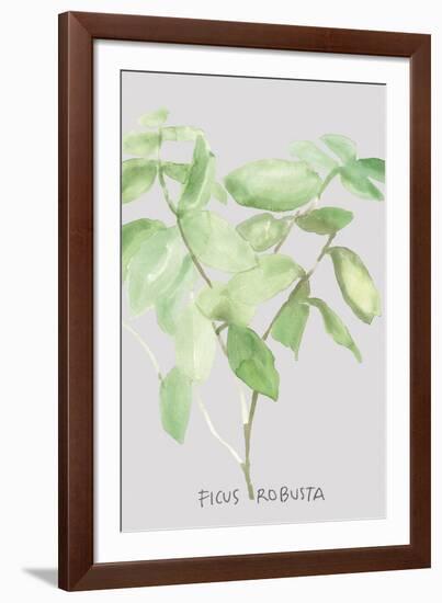 Ficus Robusta-Katrien Soeffers-Framed Giclee Print