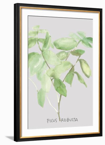 Ficus Robusta-Katrien Soeffers-Framed Giclee Print