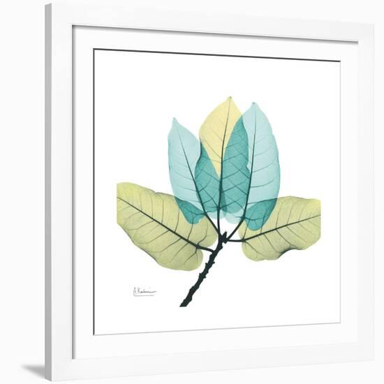 FicusBurkey-Albert Koetsier-Framed Premium Giclee Print