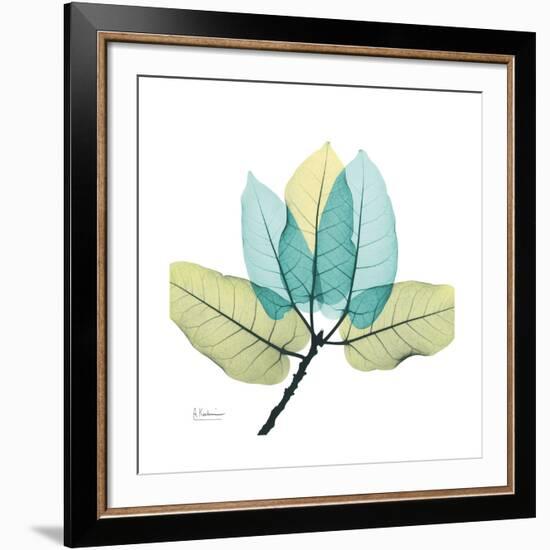 FicusBurkey-Albert Koetsier-Framed Premium Giclee Print