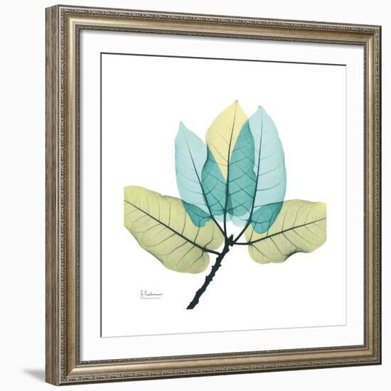 FicusBurkey-Albert Koetsier-Framed Premium Giclee Print