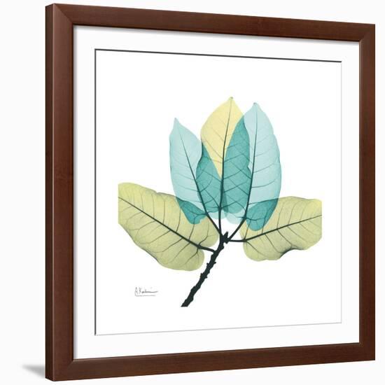 FicusBurkey-Albert Koetsier-Framed Premium Giclee Print