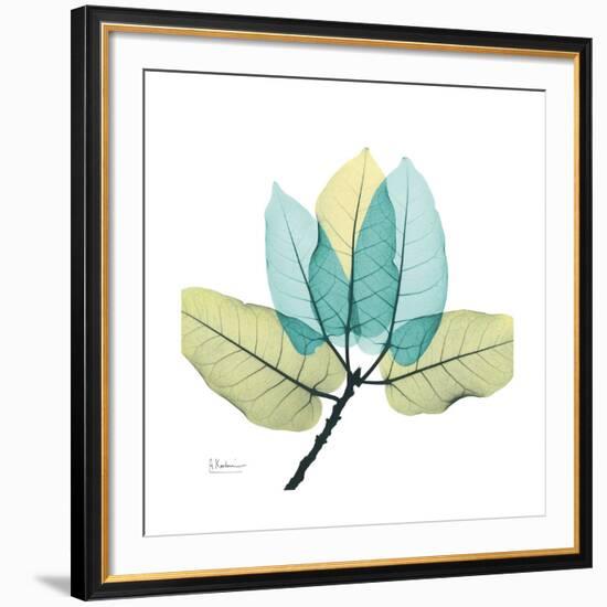 FicusBurkey-Albert Koetsier-Framed Premium Giclee Print