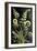 Fiddlehead Fern Flowers-Lea Faucher-Framed Art Print