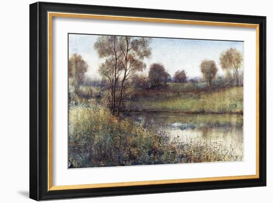 Field And Stream-Tim O'toole-Framed Giclee Print