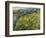 Field at Sunrise, 1890-Vincent van Gogh-Framed Giclee Print