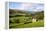 Field Barn Above Wath in Nidderdale-Mark Sunderland-Framed Premier Image Canvas