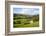 Field Barn Above Wath in Nidderdale-Mark Sunderland-Framed Photographic Print