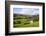 Field Barn Above Wath in Nidderdale-Mark Sunderland-Framed Photographic Print