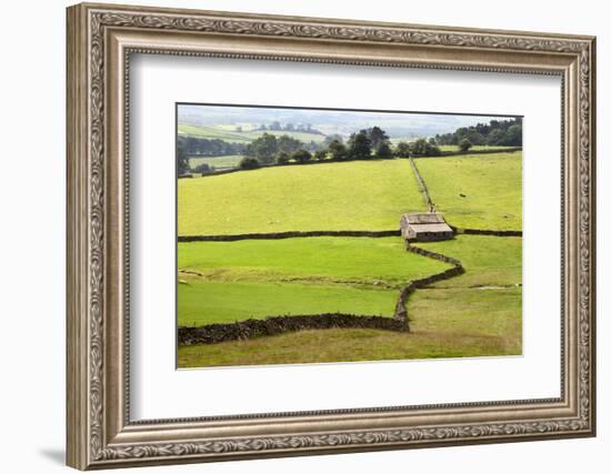 Field Barn and Dry Stone Walls in Crummack Dale, Yorkshire, England, United Kingdom, Europe-Mark Sunderland-Framed Photographic Print