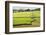 Field Barn and Dry Stone Walls in Crummack Dale, Yorkshire, England, United Kingdom, Europe-Mark Sunderland-Framed Photographic Print