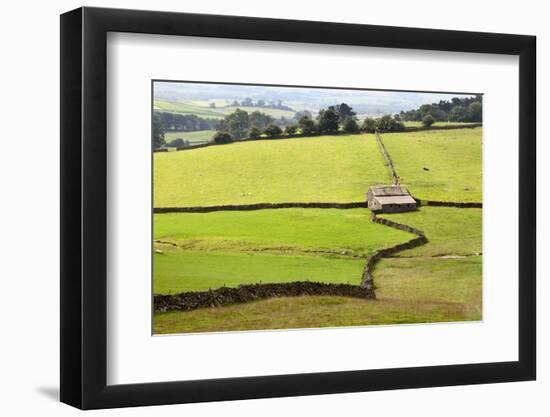 Field Barn and Dry Stone Walls in Crummack Dale, Yorkshire, England, United Kingdom, Europe-Mark Sunderland-Framed Photographic Print