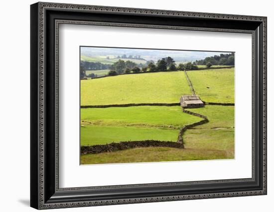 Field Barn and Dry Stone Walls in Crummack Dale, Yorkshire, England, United Kingdom, Europe-Mark Sunderland-Framed Photographic Print