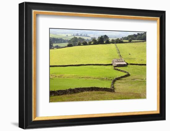 Field Barn and Dry Stone Walls in Crummack Dale, Yorkshire, England, United Kingdom, Europe-Mark Sunderland-Framed Photographic Print