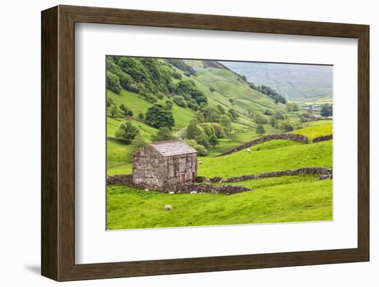 Field Barn Below Kisdon Hill Near Angram in Swaledale-Mark Sunderland-Framed Photographic Print