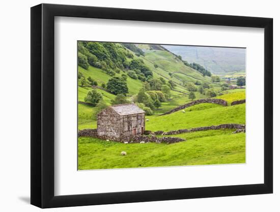 Field Barn Below Kisdon Hill Near Angram in Swaledale-Mark Sunderland-Framed Photographic Print