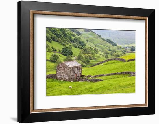 Field Barn Below Kisdon Hill Near Angram in Swaledale-Mark Sunderland-Framed Photographic Print