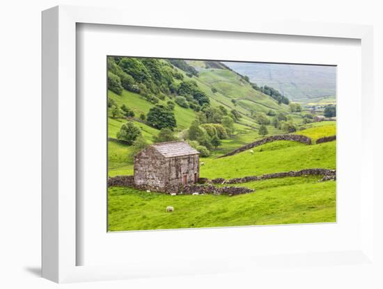 Field Barn Below Kisdon Hill Near Angram in Swaledale-Mark Sunderland-Framed Photographic Print