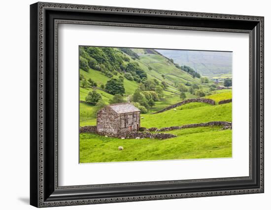 Field Barn Below Kisdon Hill Near Angram in Swaledale-Mark Sunderland-Framed Photographic Print