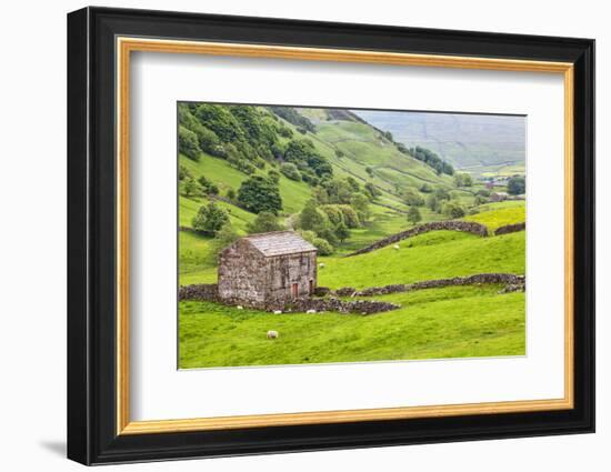 Field Barn Below Kisdon Hill Near Angram in Swaledale-Mark Sunderland-Framed Photographic Print