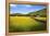 Field Barns and Buttercup Meadows at Muker-Mark Sunderland-Framed Premier Image Canvas