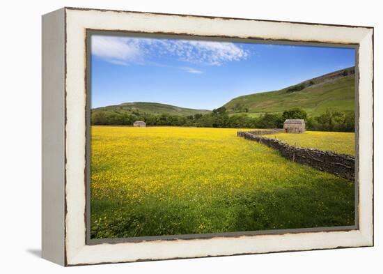 Field Barns and Buttercup Meadows at Muker-Mark Sunderland-Framed Premier Image Canvas