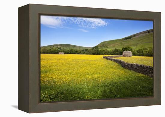 Field Barns and Buttercup Meadows at Muker-Mark Sunderland-Framed Premier Image Canvas